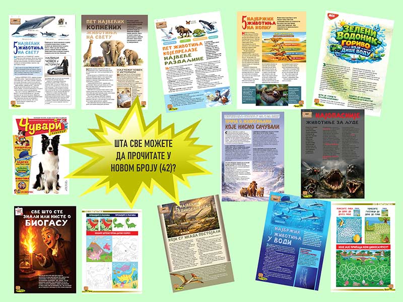 CR 42 STA SVE MOZETE DA PROCITATE 2