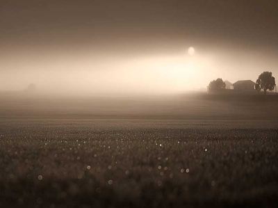 МАГЛА У РАВНИЦИ – Јасминка Симовић