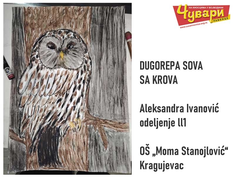 DUGOREPA SOVA SA KROVA - Aleksandra Ivanović, odeljenje ll1, O&Scaron; &bdquo;Moma Stanojlović&ldquo;, Kragujevac