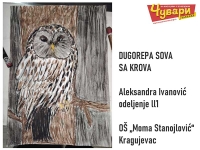 DUGOREPA SOVA SA KROVA - Aleksandra Ivanović, odeljenje ll1, O&Scaron; &bdquo;Moma Stanojlović&ldquo;, Kragujevac